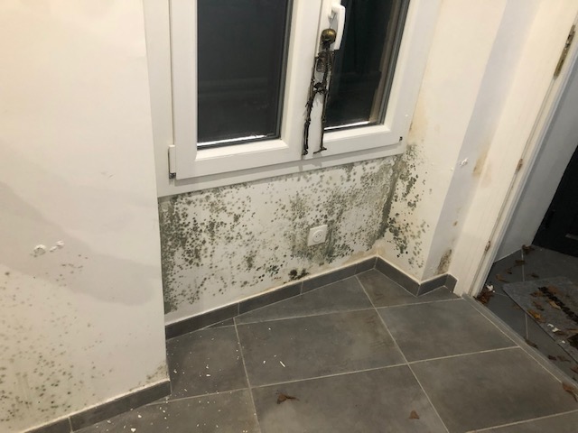 moisissures sous la fenêtre à la place du radiateur