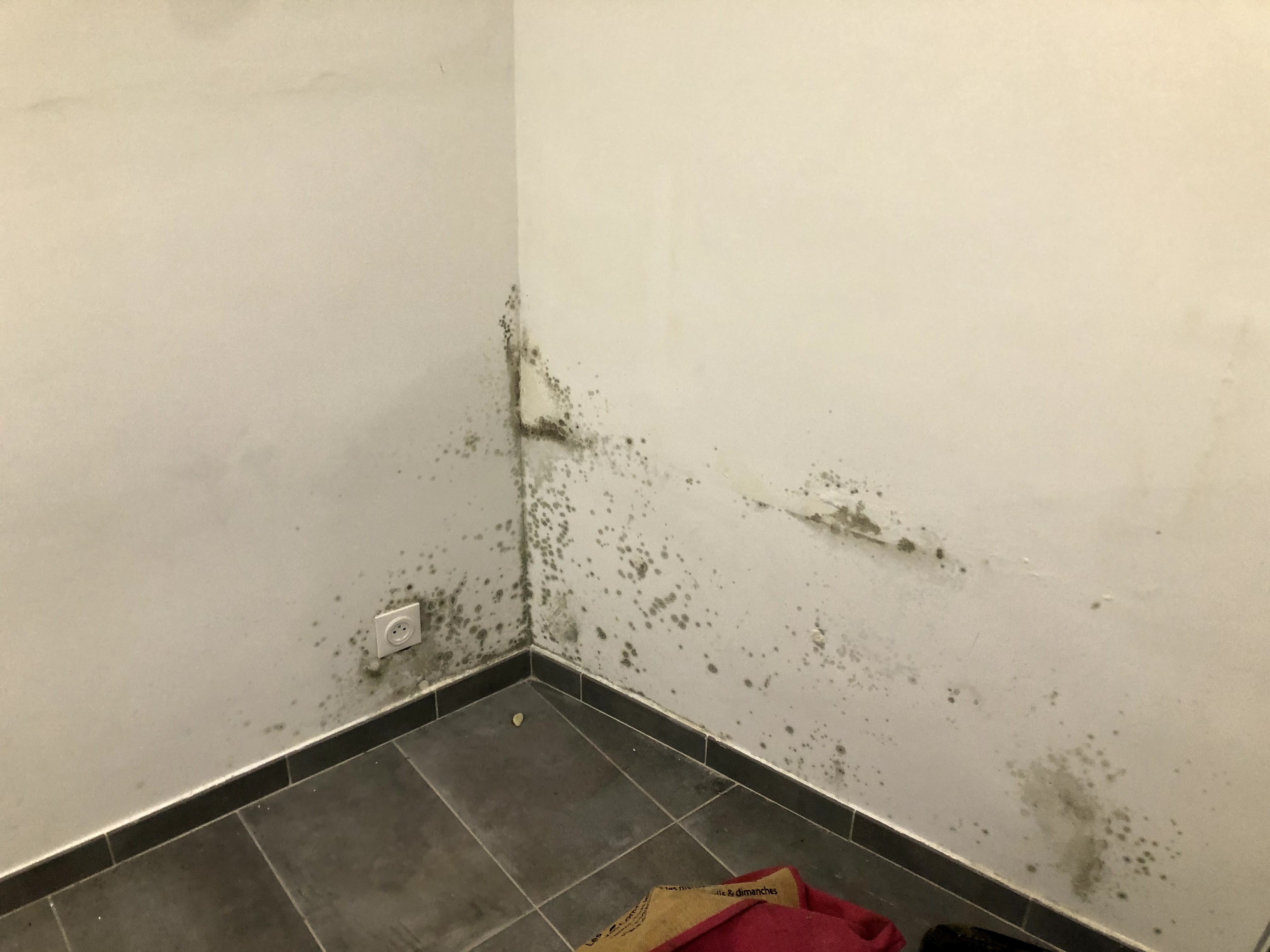 moisissures visibles