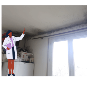 moisissures dans les angles